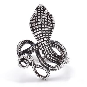Aranys Stříbrný prsten velký had, 52 01357